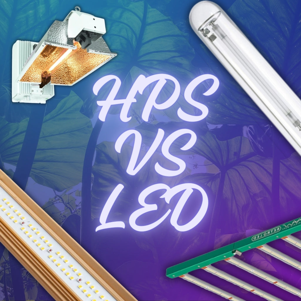 HPS vs LED Grow Lights