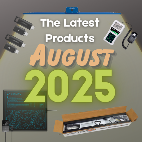 Latest Products for August 2025