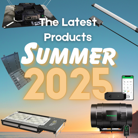 Latest Products for Summer 2025