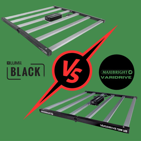 Maxibright Varidrive 720w vs LUMii Black 720w