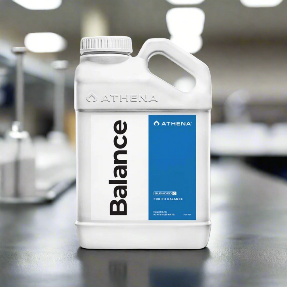 Athena Balance (Blended)