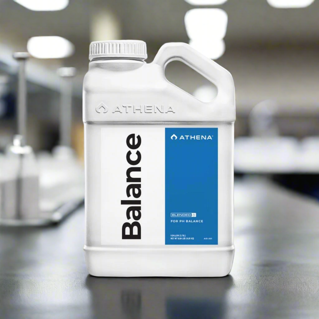 Athena Balance (Blended)