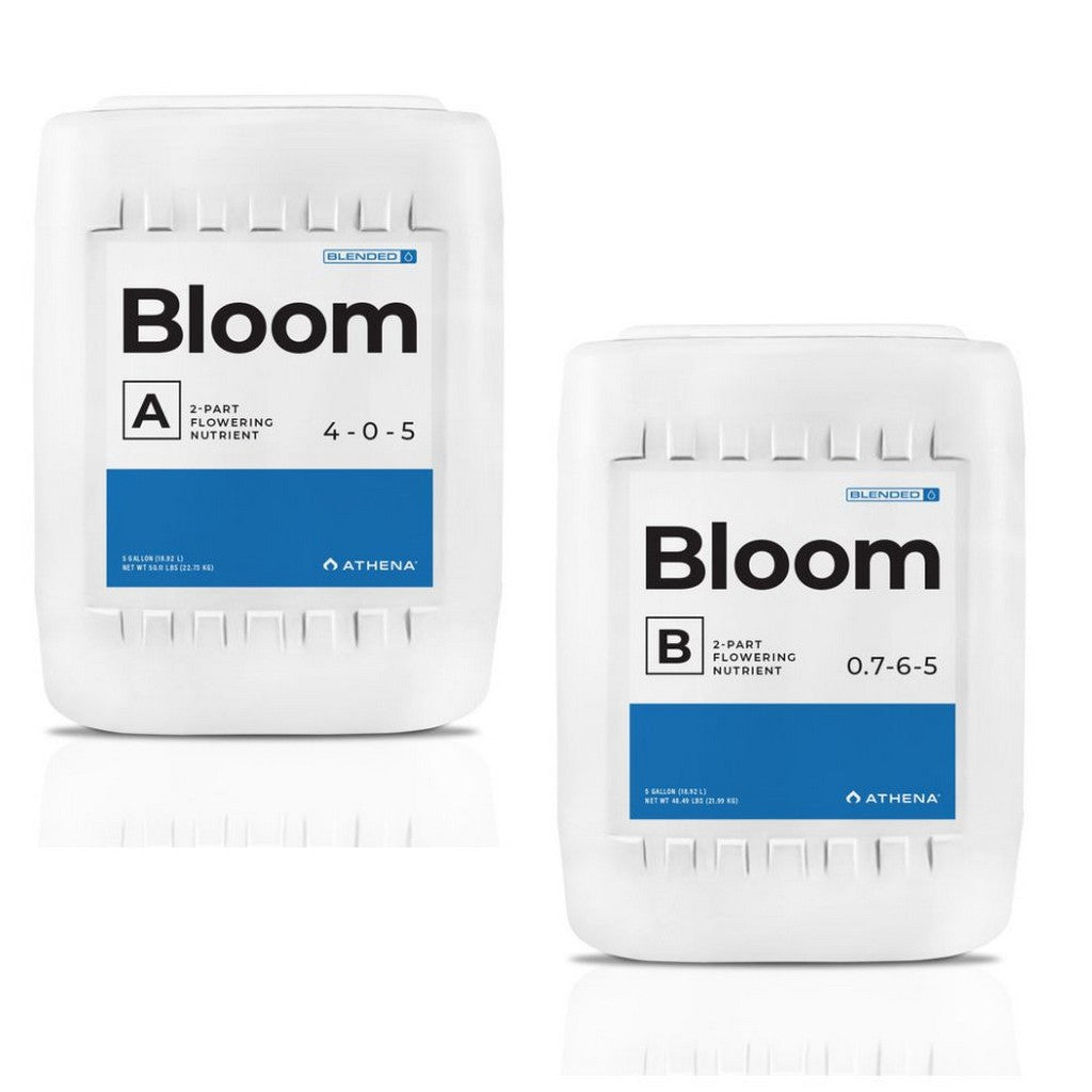 athena bloom blended 18.93L