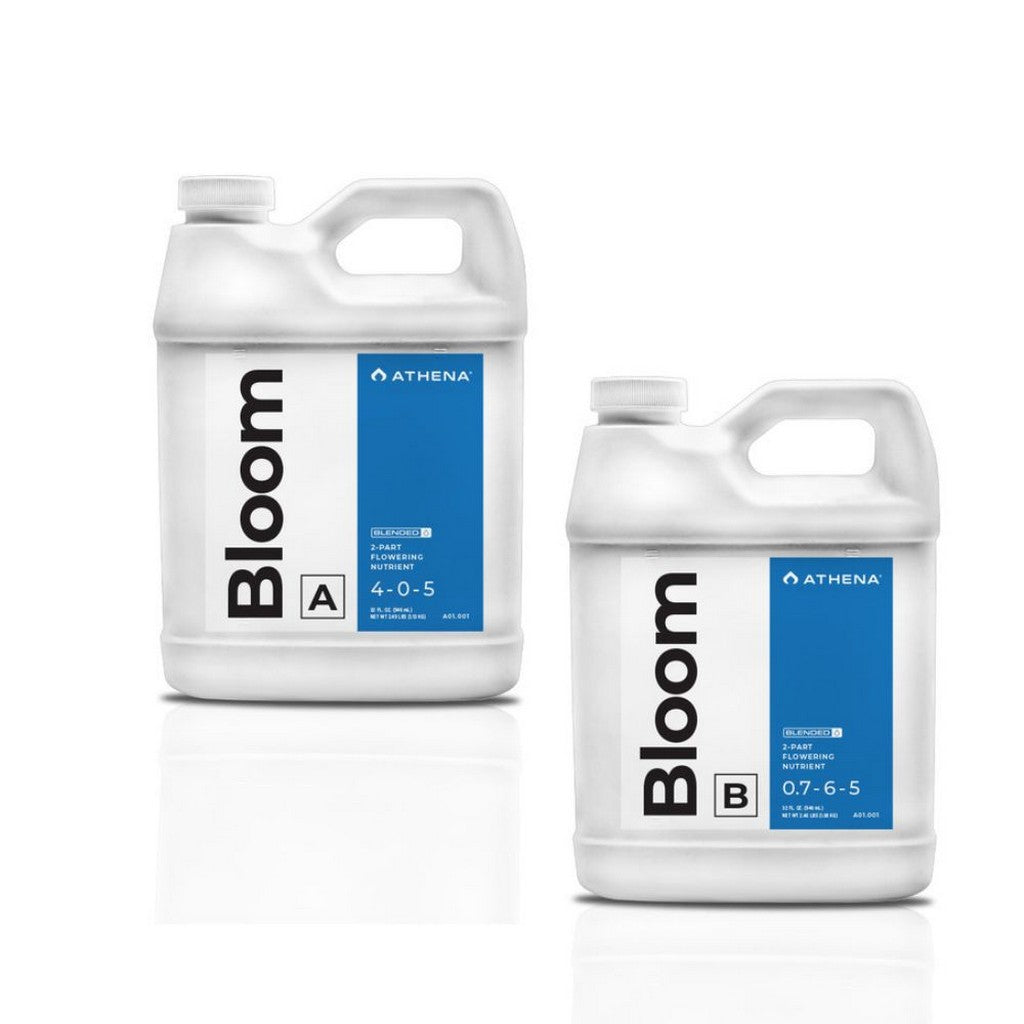 Athena Bloom (Blended)