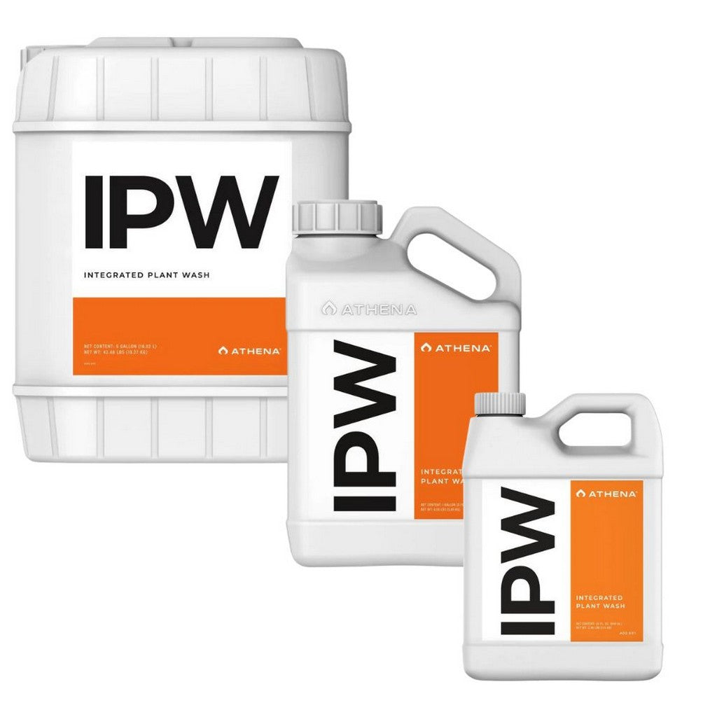 athena ipw blended