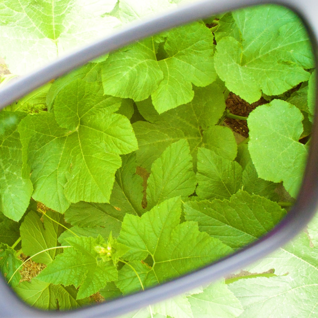 Method Seven Agent 939 FX LED Glasses