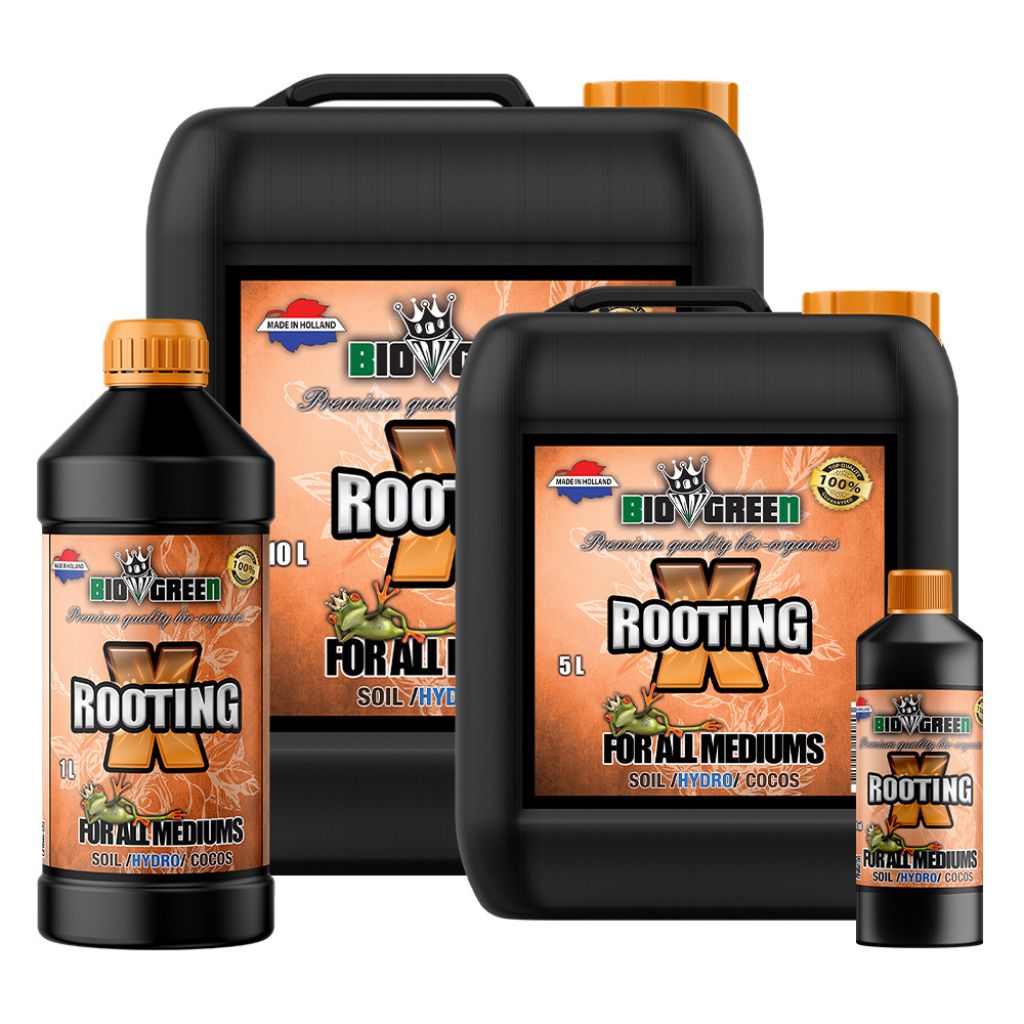 biogreen xrooting group