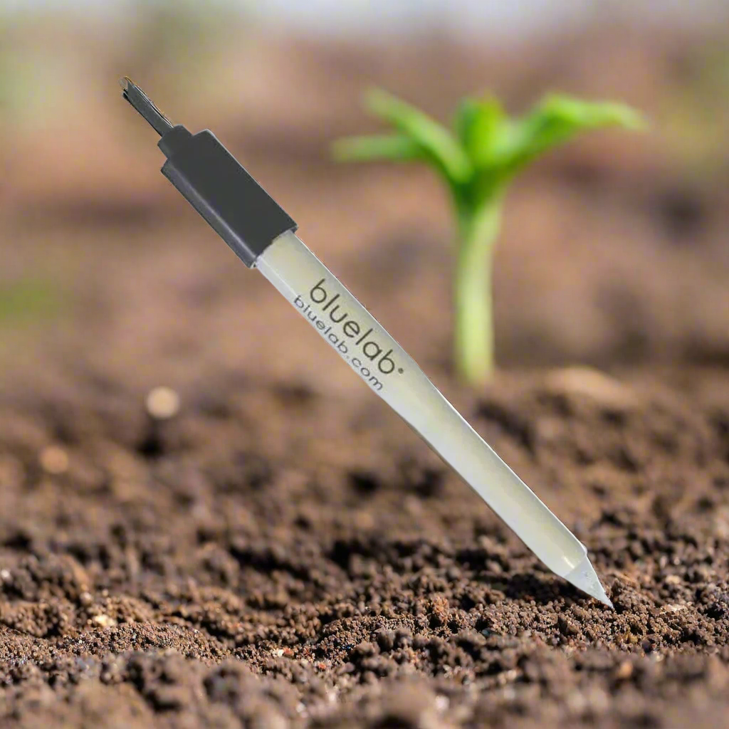 Bluelab Leap pH Probe