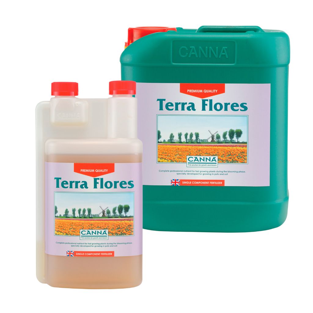 cANNA TERRA FLORES