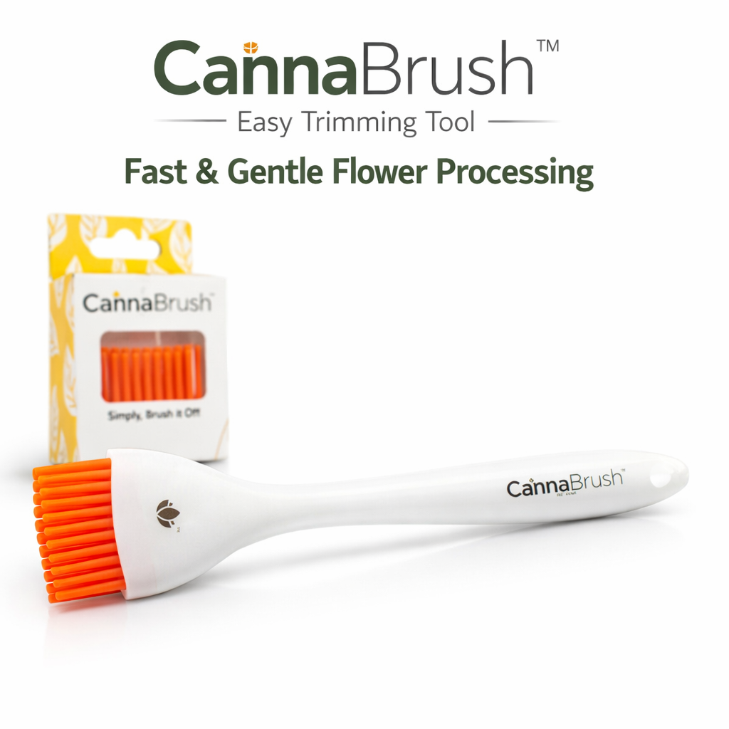 Cannabrush Easy Trimming Tool – Fast & Gentle Flower Processing Brush