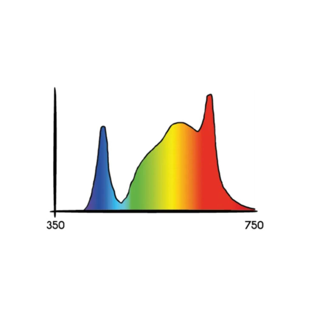 Cosmorrow® Blooming LED 20w