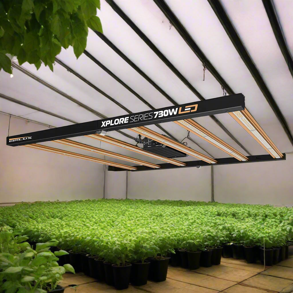 Dimlux Xplore Series 730W LED Grow Light
