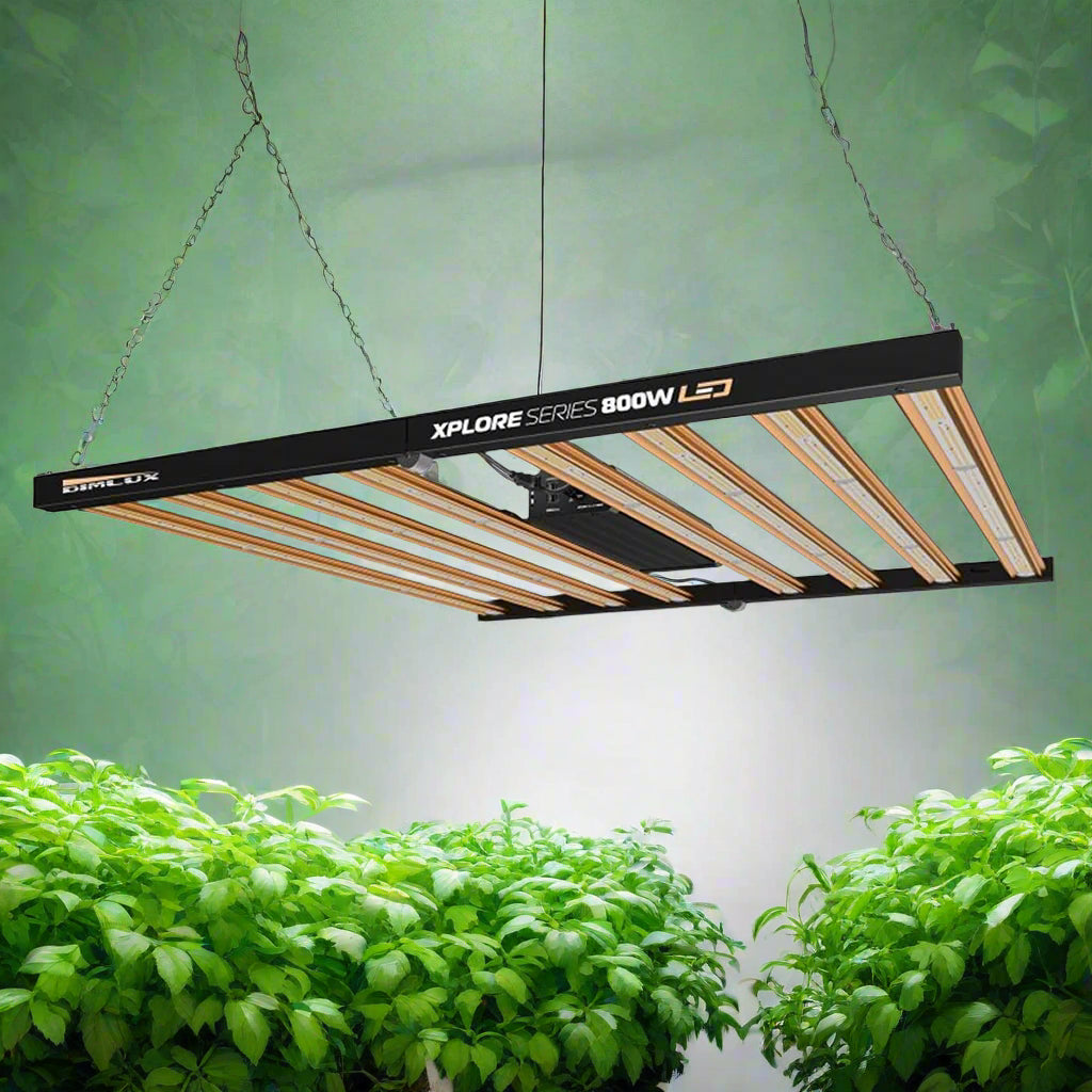Dimlux Xplore Series 800W HE LED Grow Light