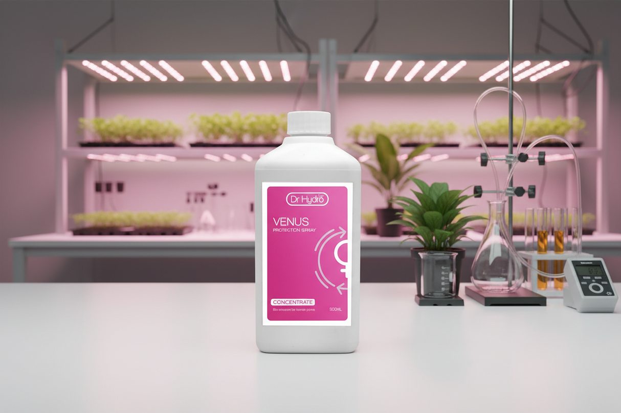 Dr Hydro - Venus