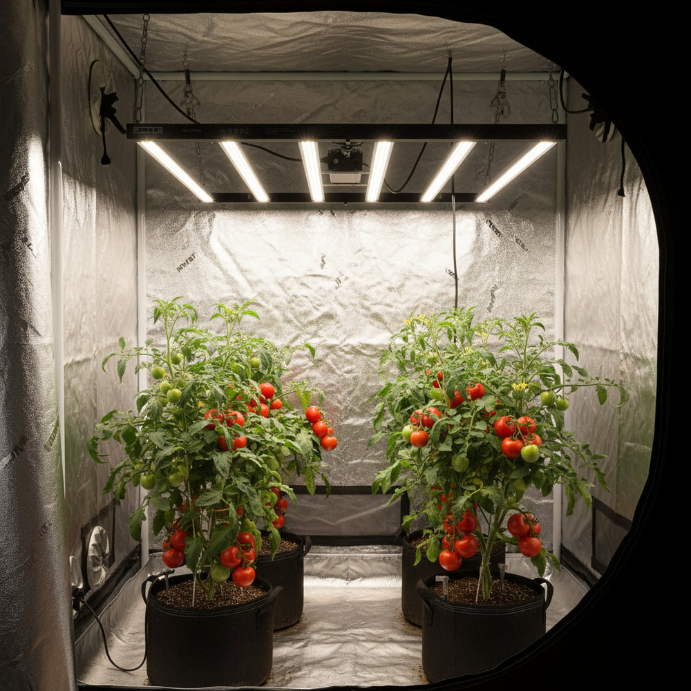 Elite 720W LED Grow Light