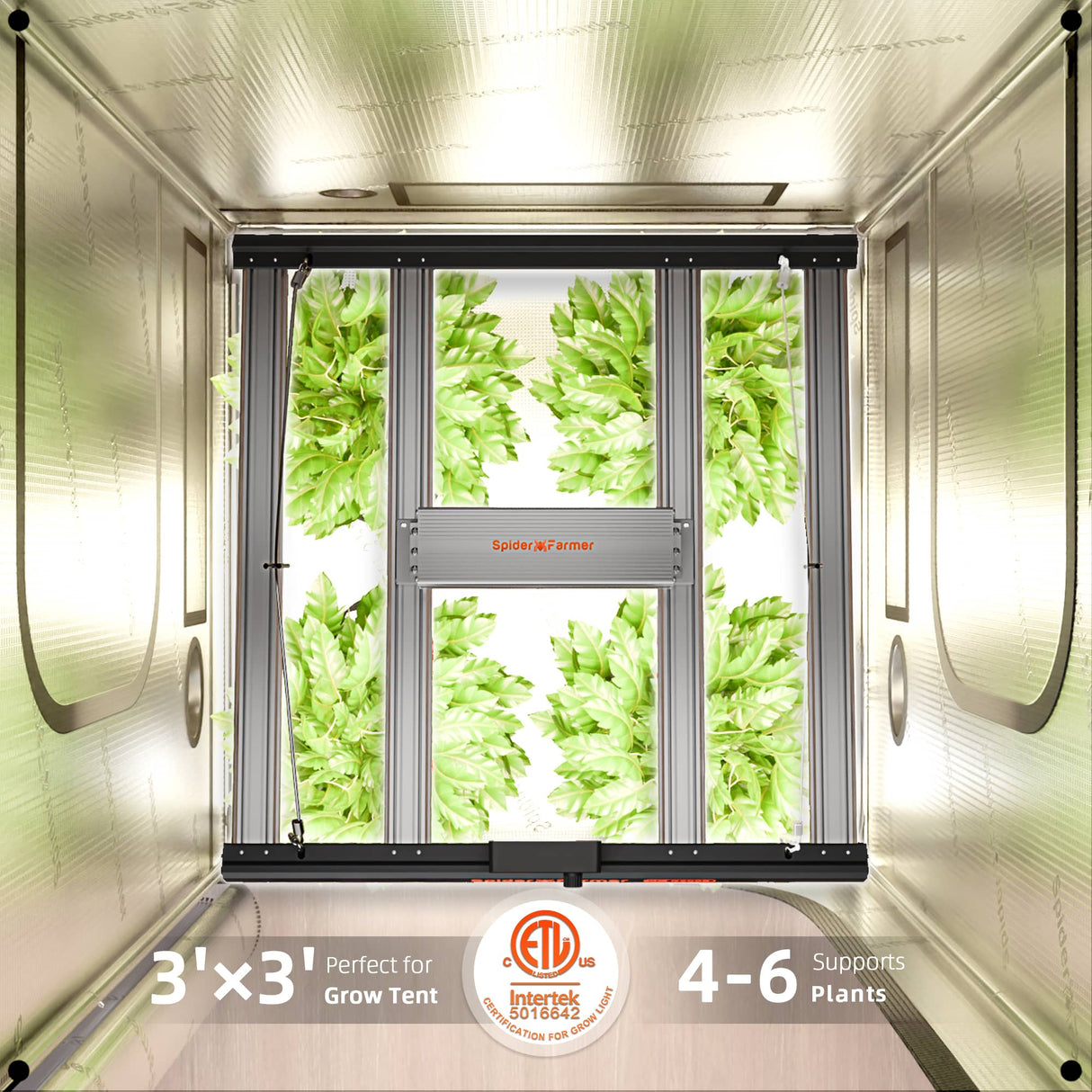 Indoor gardening system with plants growing inside a grow tent, featuring Intertek certification.