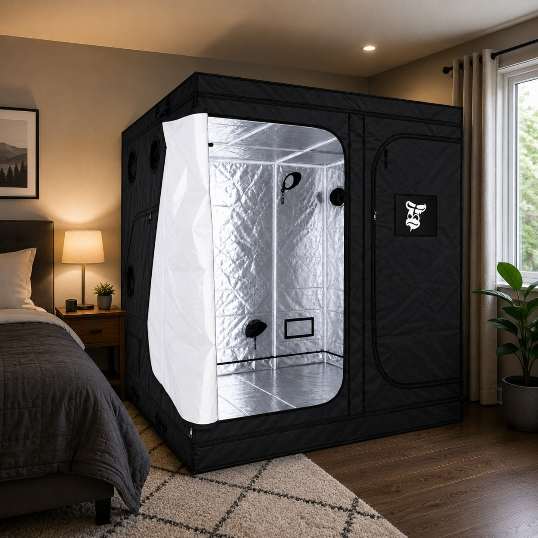 A black Gorilla Growbox Deluxe grow tent measuring 2m x 2m x 2.2m set up in a bedroom.