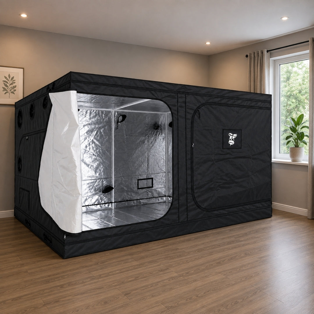 A large black GorillaBox Deluxe grow tent measuring 4m-3m-2m with a reflective silver interior, set up in a home room with wood floors and a window.