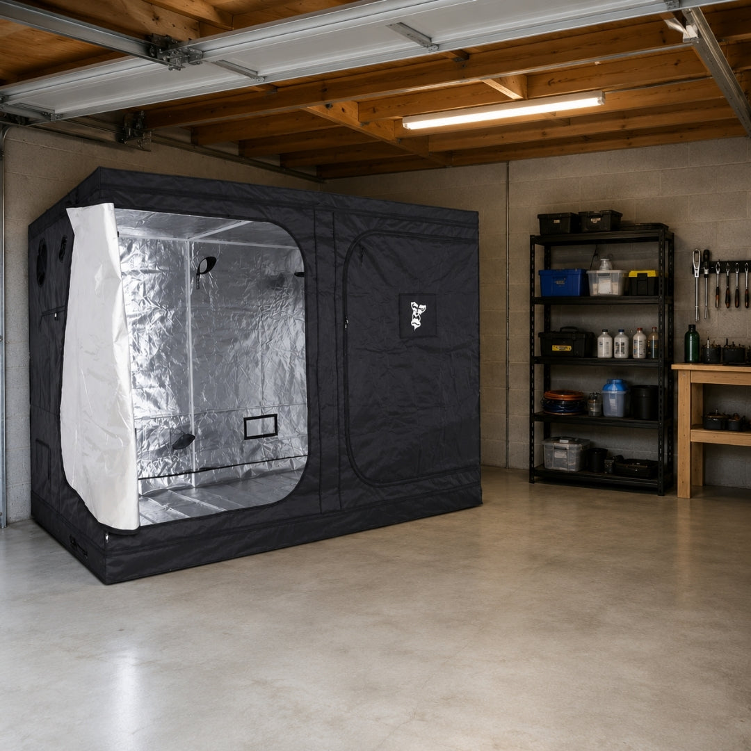 A black GorillaBox Deluxe grow tent measuring 5m-4m-2.2m with a reflective silver interior and side opening, set up inside a concrete garage with shelving and tools visible in the background.
