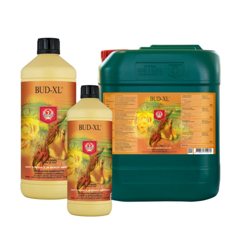 House & Garden Bud XL