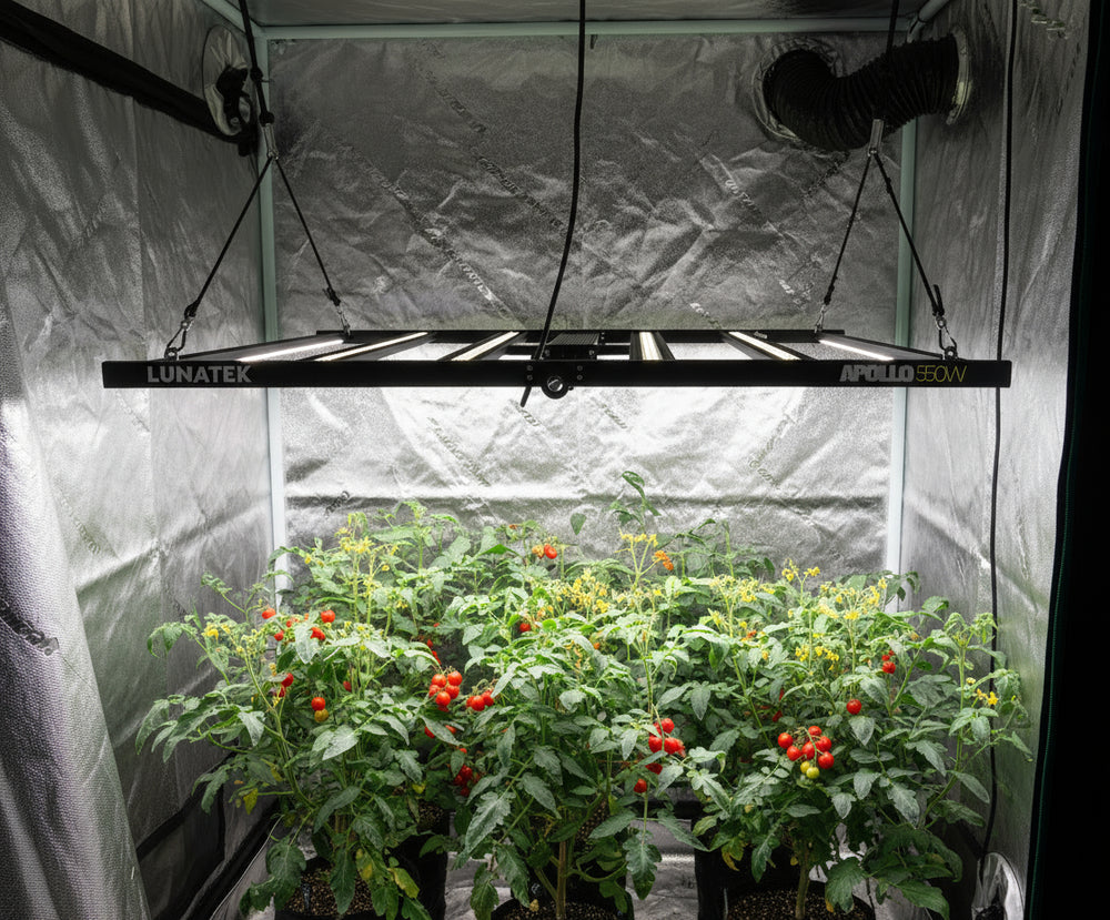 Lumatek APOLLO 550W LED Grow Light
