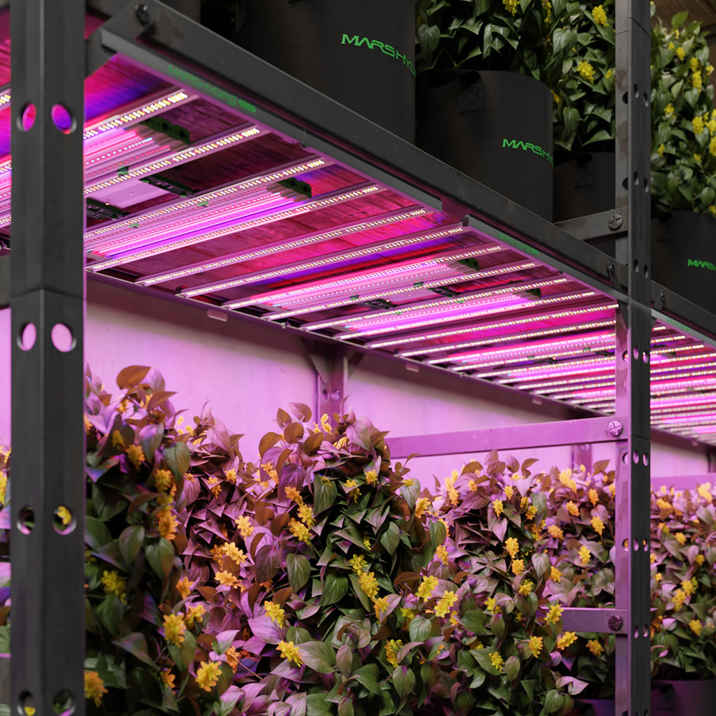 Mars Hydro Supplemental LED Grow Light Bars