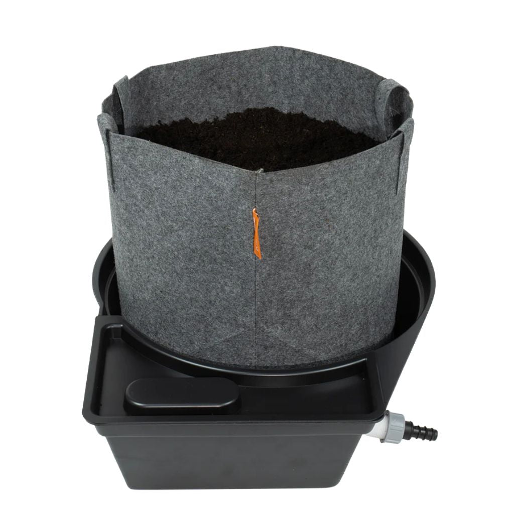 MegaPot Single Pot