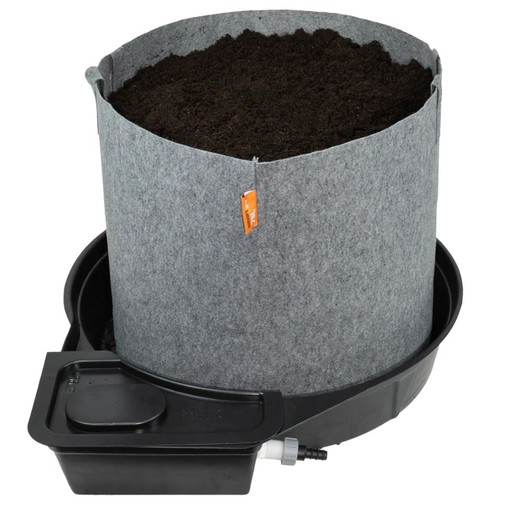 MegaPot System - 22L