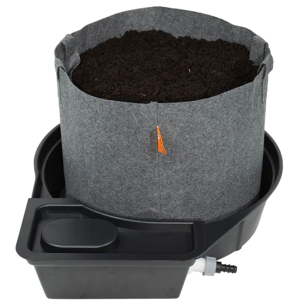 MegaPot Single Pot