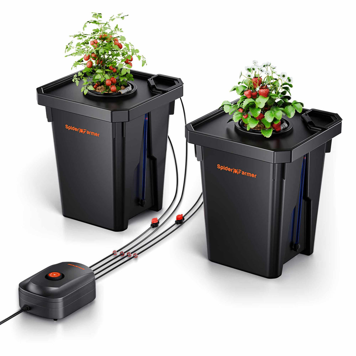 Set of black DWC buckets with plants and a pump on a white background