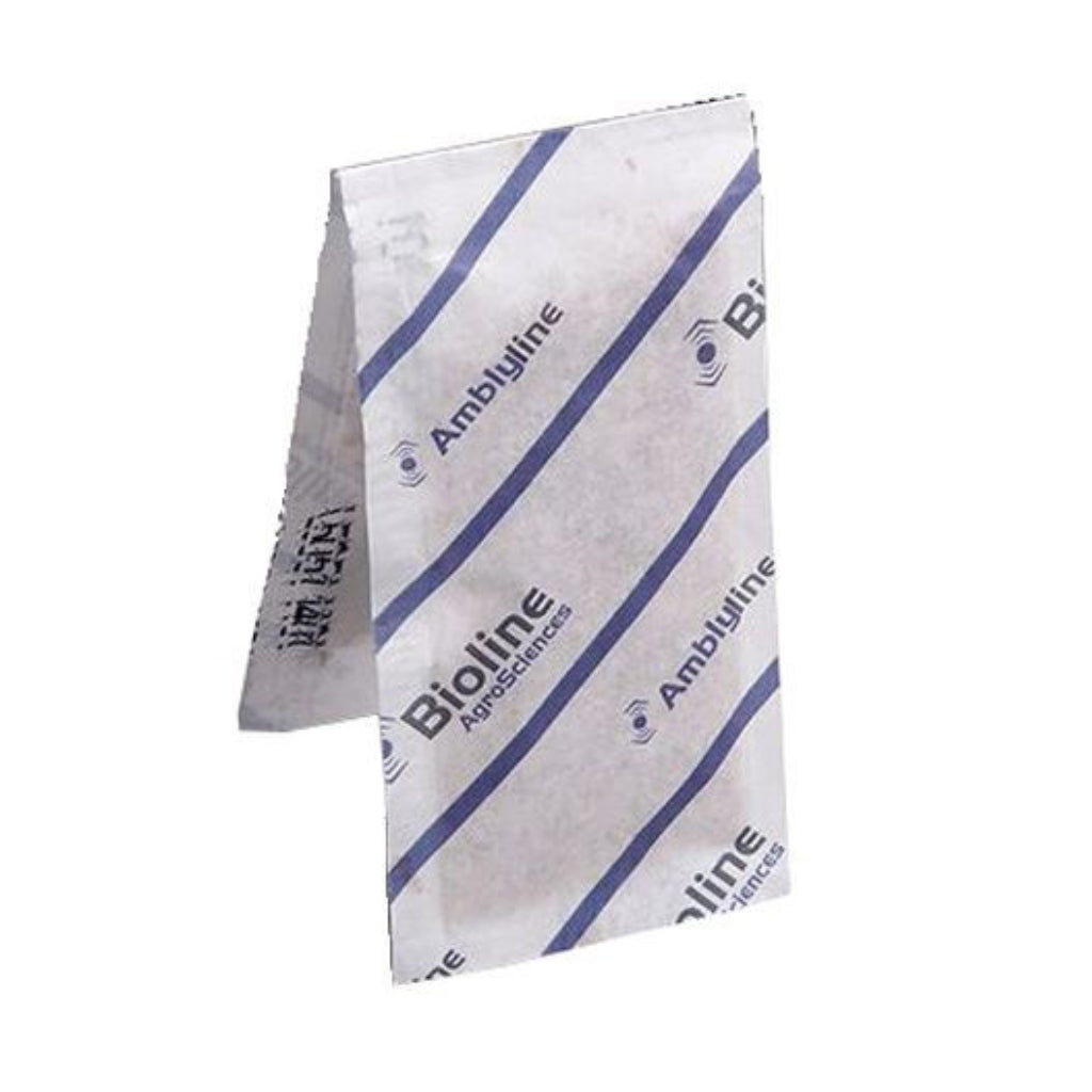 Thrip Predators (Amblyseius cucumeris) Double 100 Sachets x Box of 300 Sachets