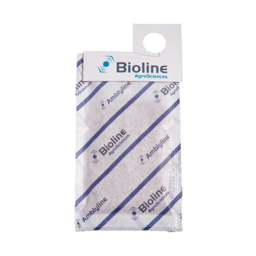 Thrip Predators (Amblyseius cucumeris) Single 100 Sachets x Box of 200 Sachets