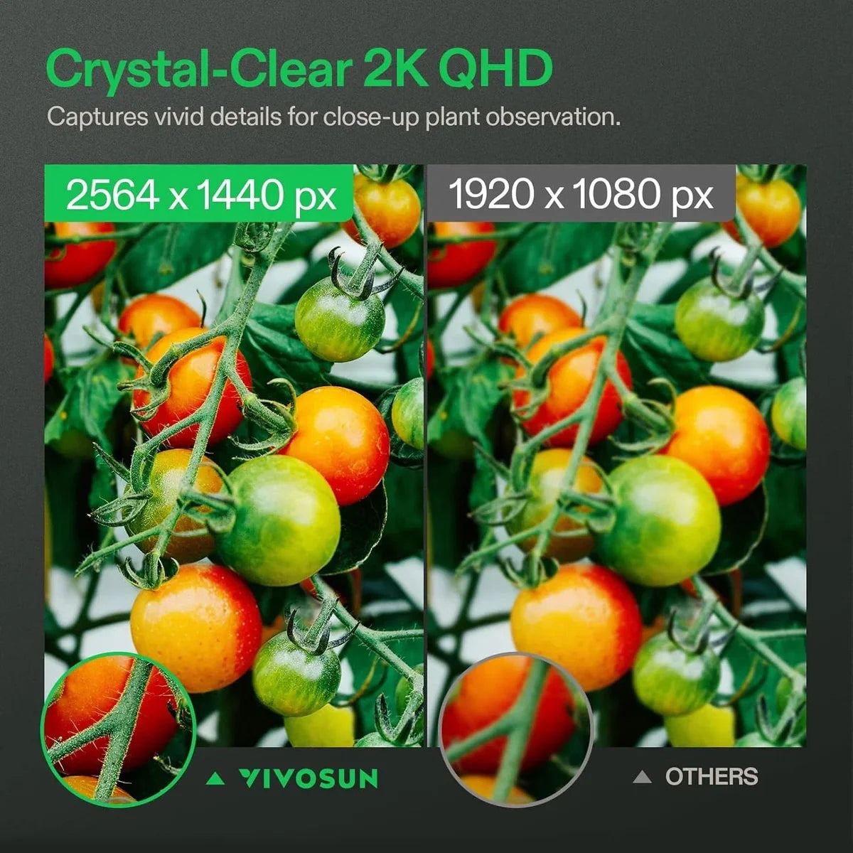 Vivosun GrowCam C2 2K QHD Smart Grow Camera