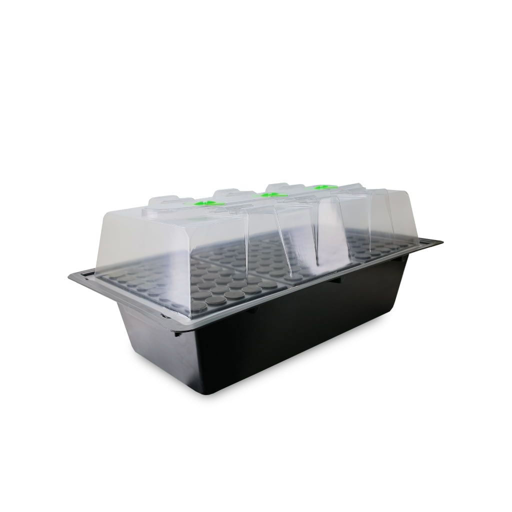 X-Stream Aeroponic Propagator 120 Site