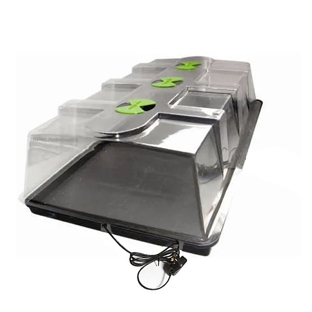 X-Stream Heat Large Propagator