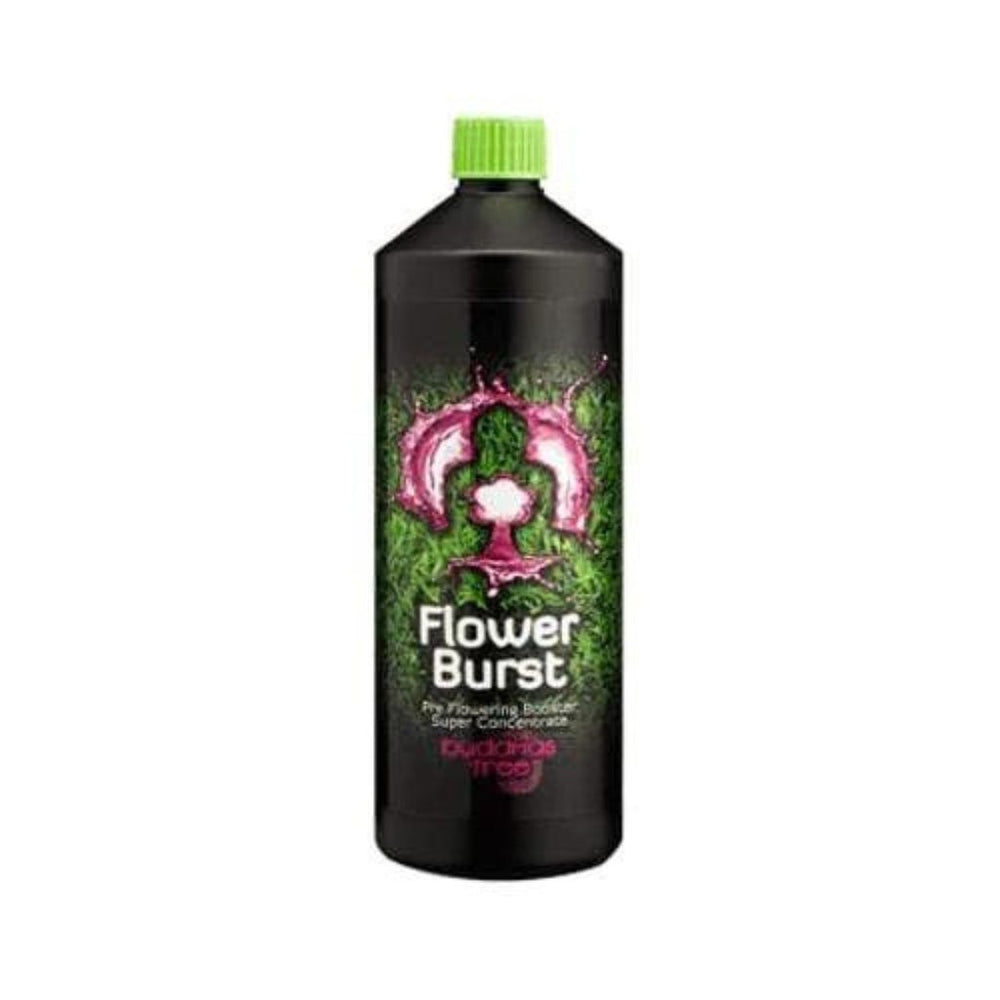 buddhas tree flower burst flowering booster 1L