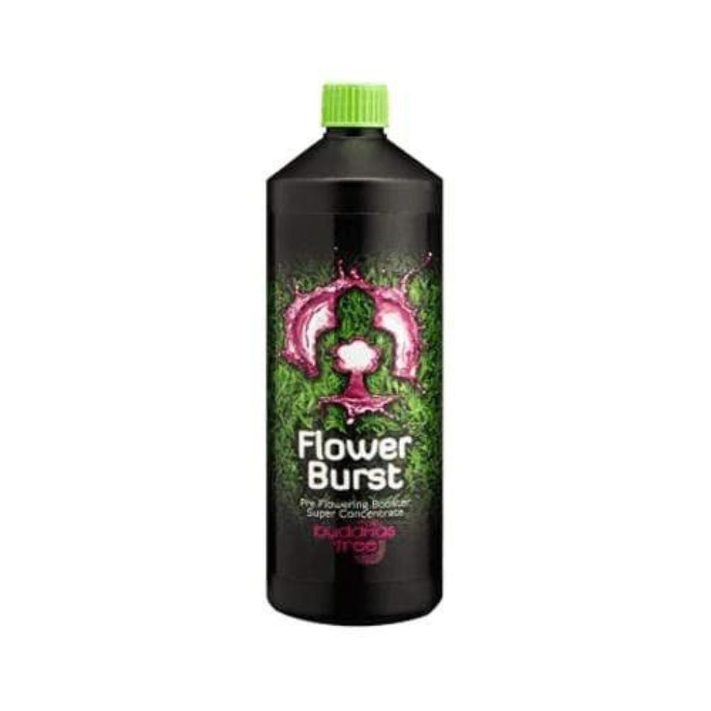 buddhas tree flower burst flowering booster 1L