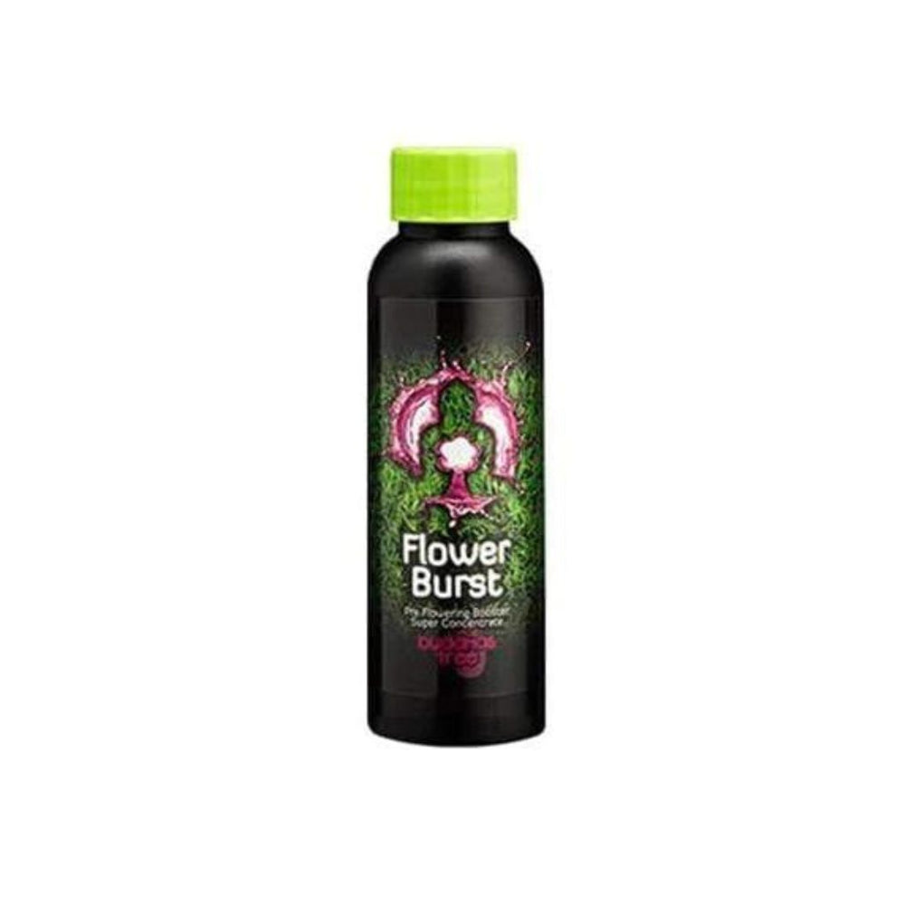 buddhas tree flower burst flowering booster 250ml