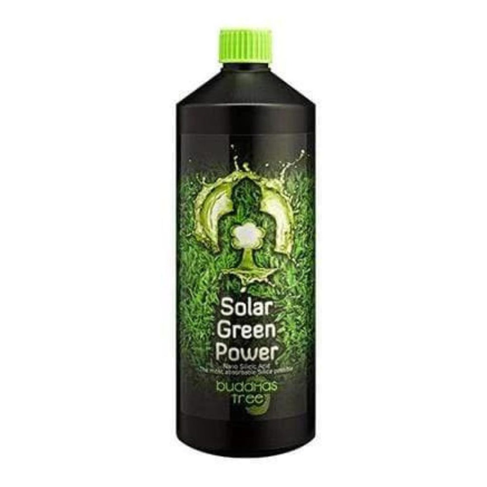 buddhas tree solar green power 1L