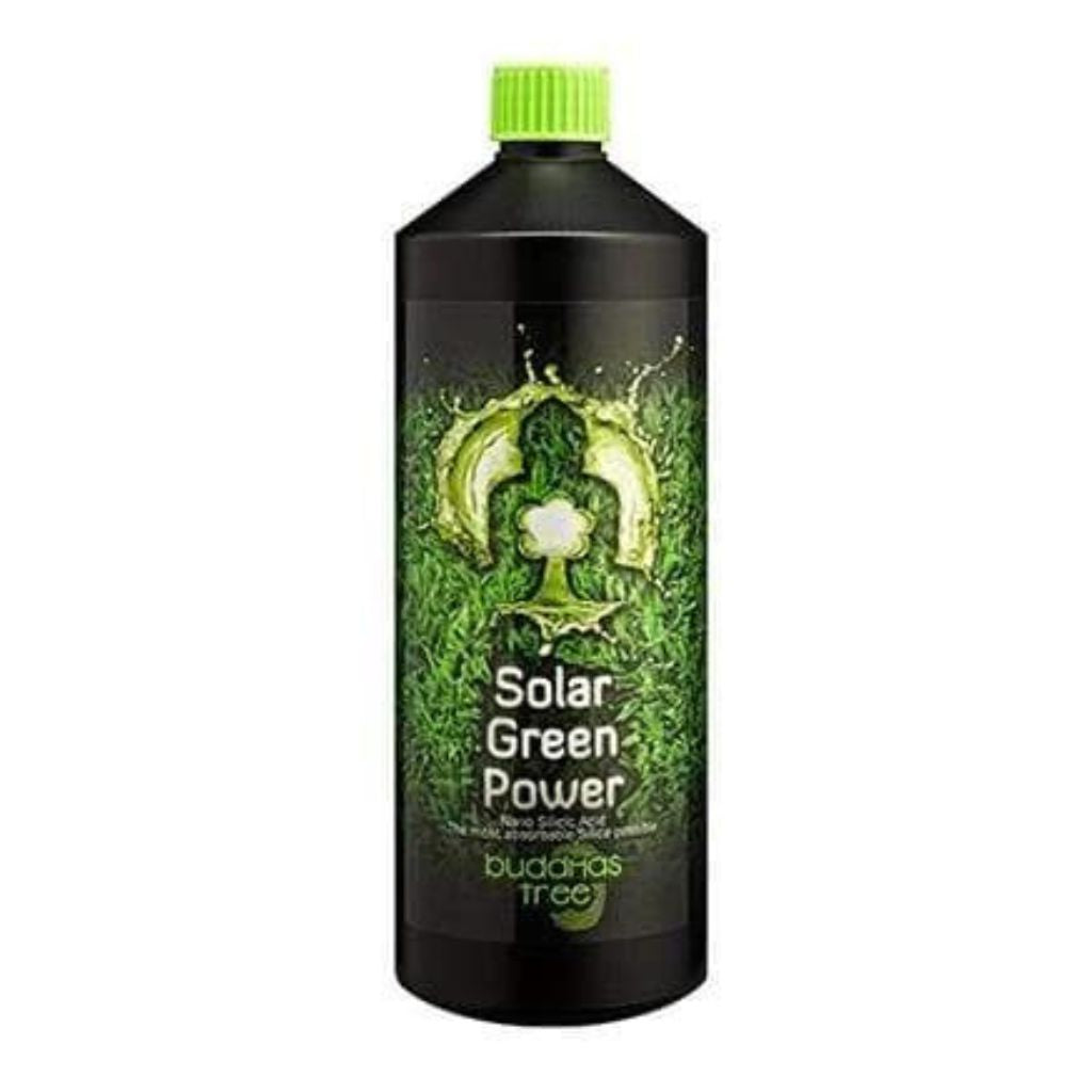 buddhas tree solar green power 1L