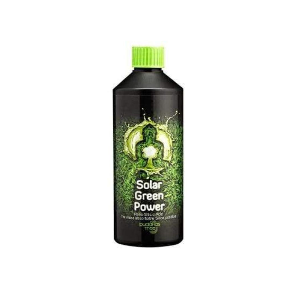 buddhas tree solar green power 500ml
