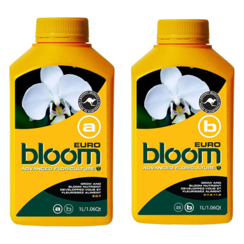 Bloom Yellow Bottles - Euro A&B | Complete Base Feed