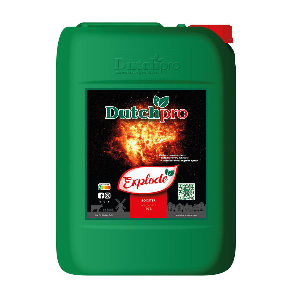 Dutchpro Explode