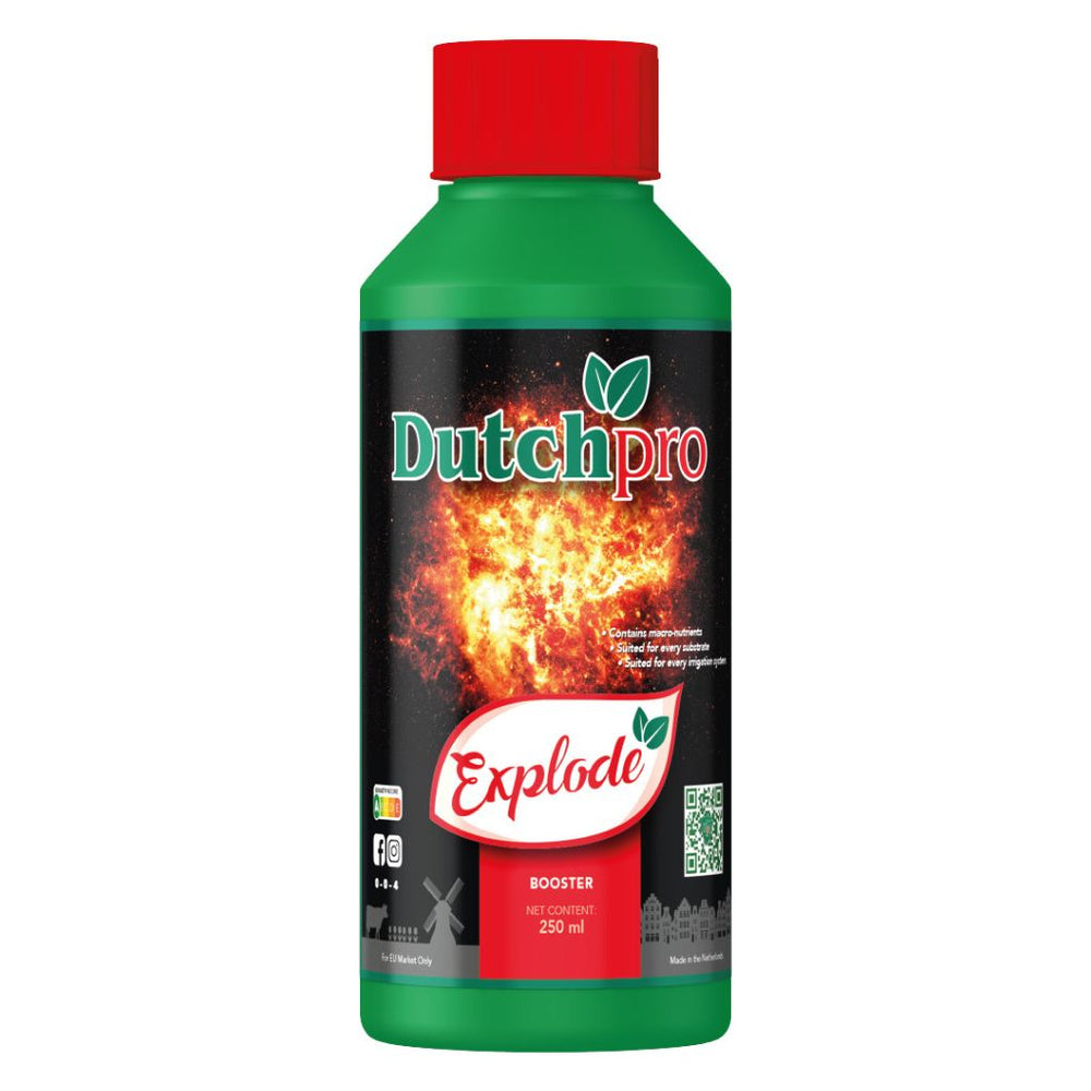 Dutchpro Explode