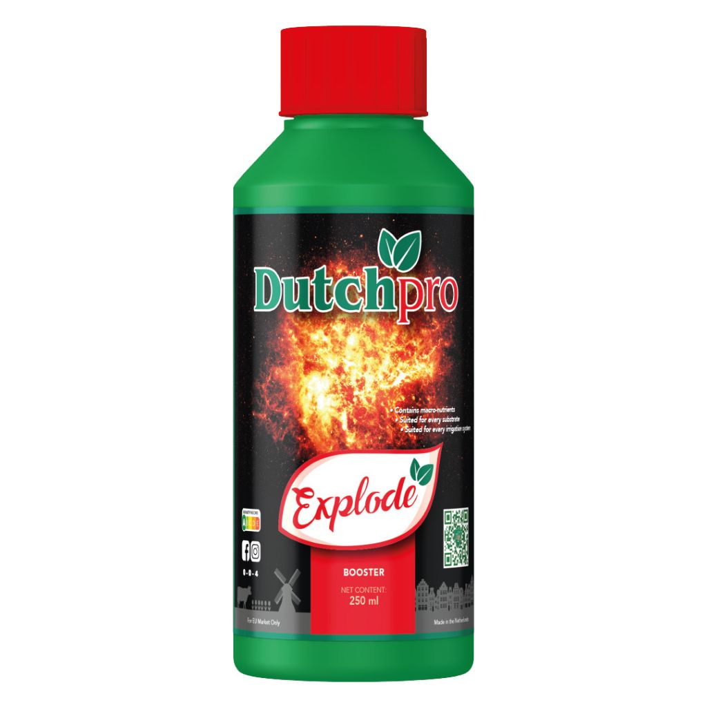 Dutchpro Explode