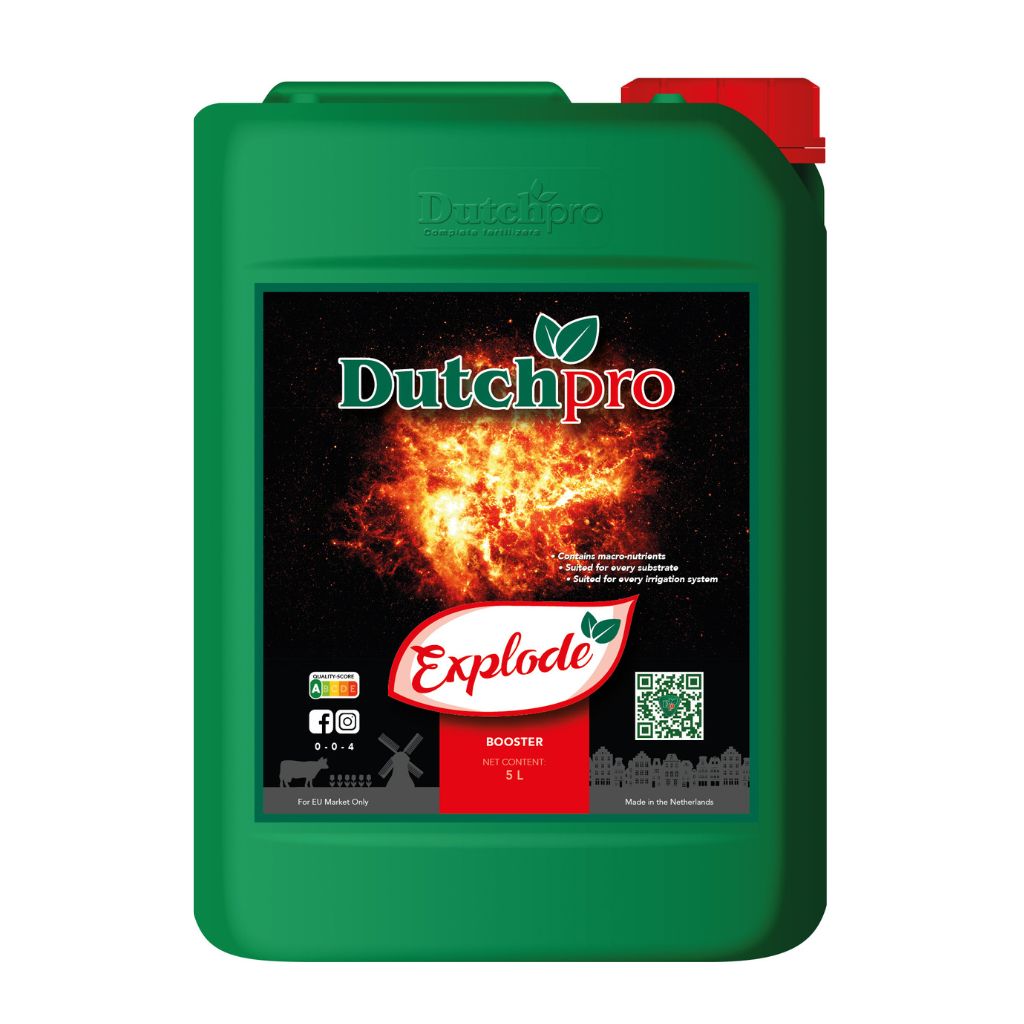 Dutchpro Explode