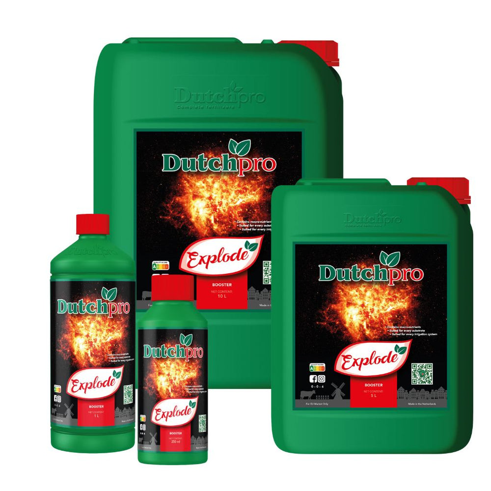 Dutchpro Explode