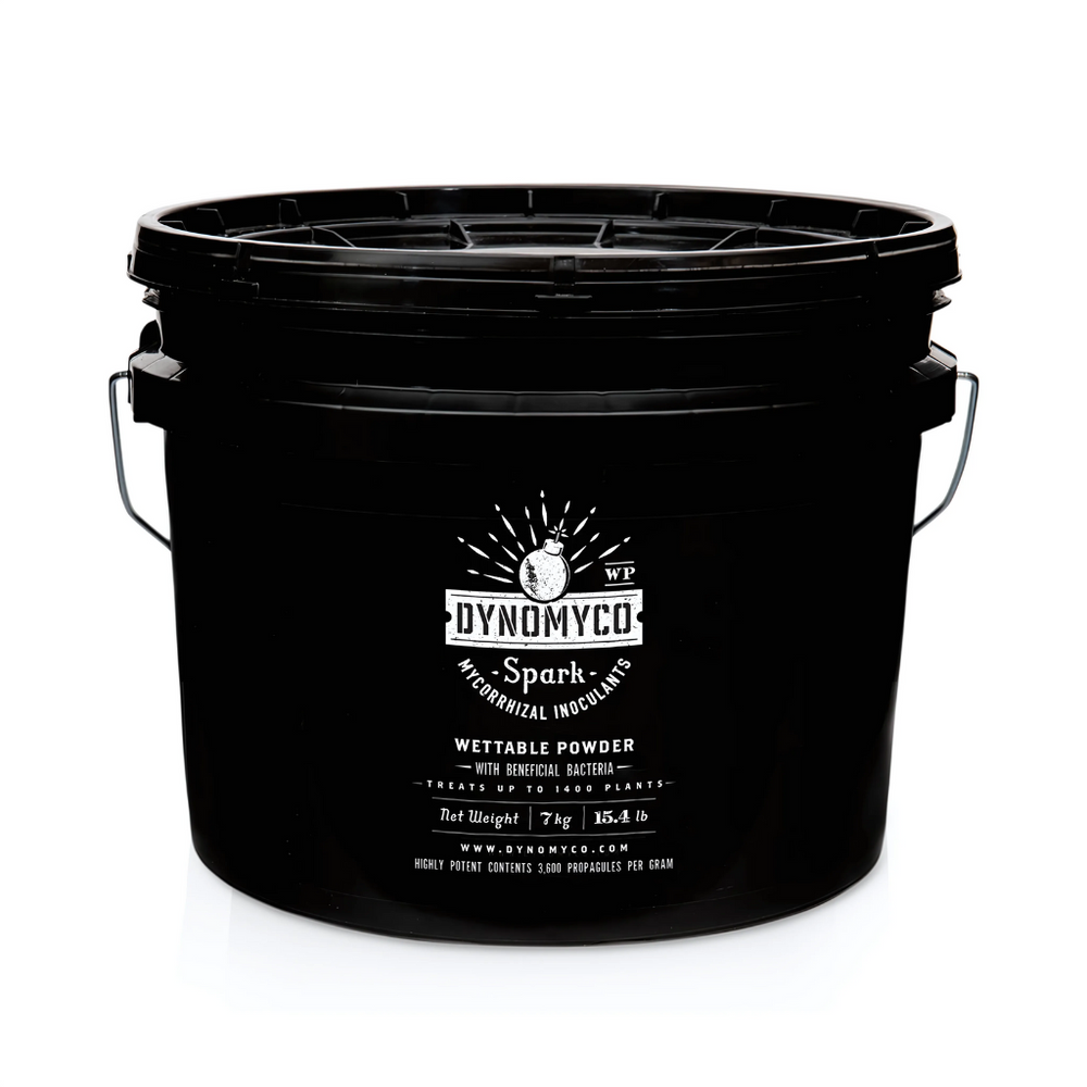 Dynomyco Spark 3-in-1 Powder