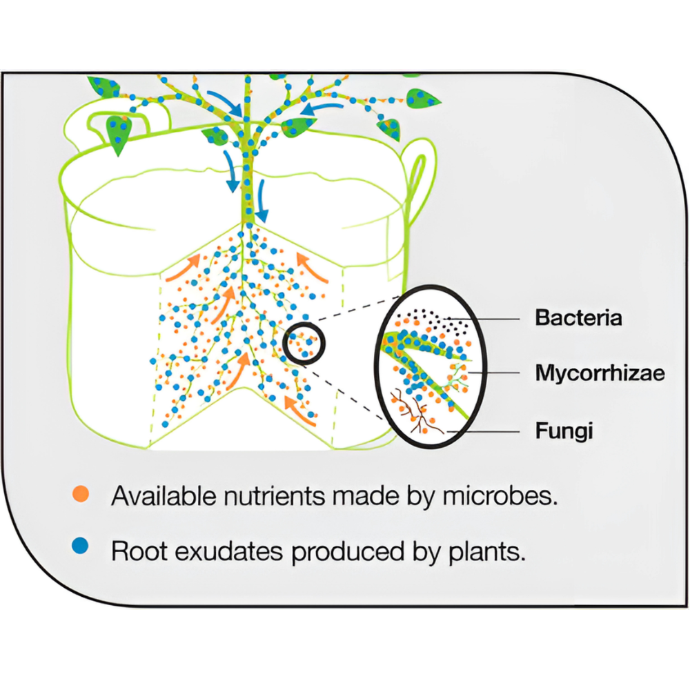 Ecothrive Living Soil 40L