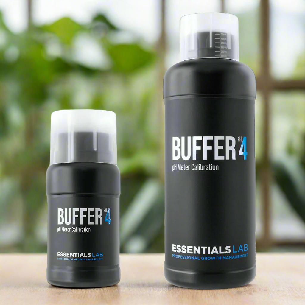 Essentials LAB Buffer 4